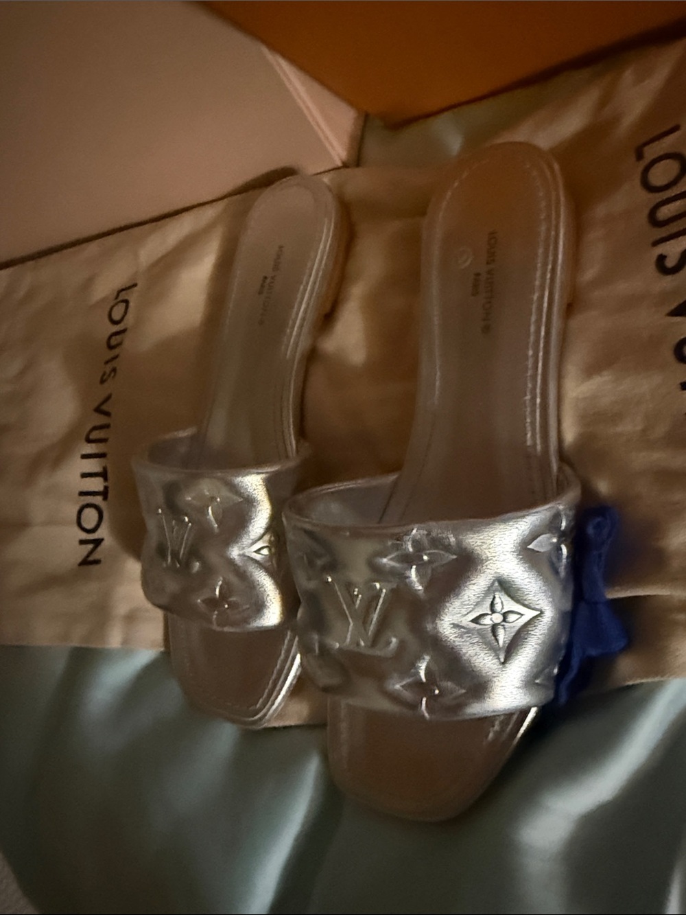 Louis Vuitton authentic silver slide mules sandals - Picture 8 of 15